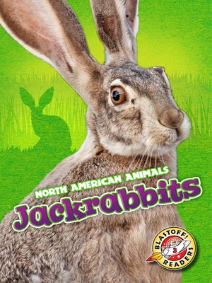 cover image of Jackrabbits